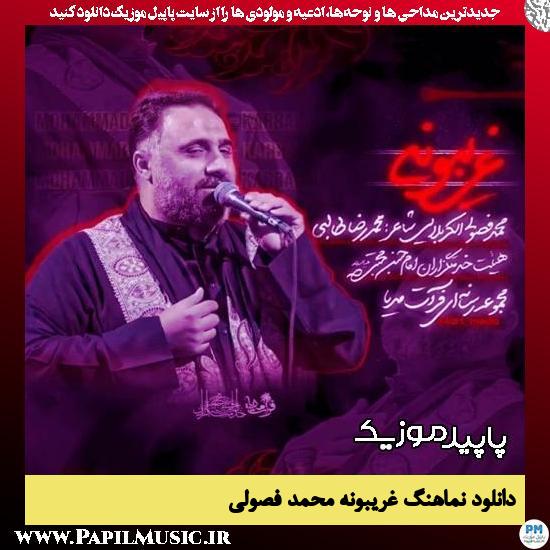 دانلود آهنگ غریبونه از محمد فصولی